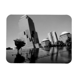 Weiße Erinnerungsrose Magnet