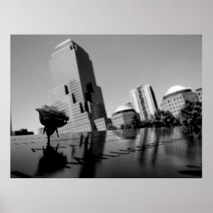 Weiße Erinnerungsrose Poster