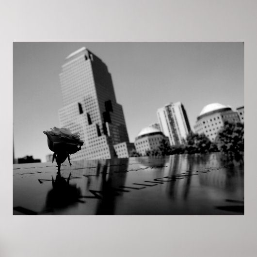 Weiße Erinnerungsrose Poster (Vorne)