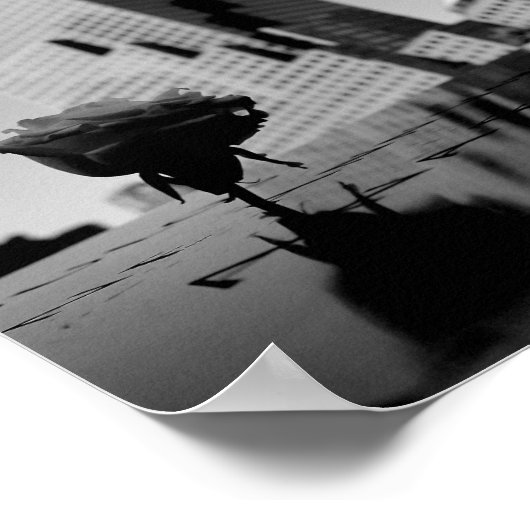 Weiße Erinnerungsrose Poster (Ecke)