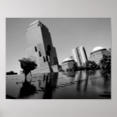 Weiße Erinnerungsrose Poster (Vorne)