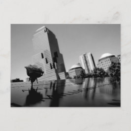 Weiße Erinnerungsrose Postkarte