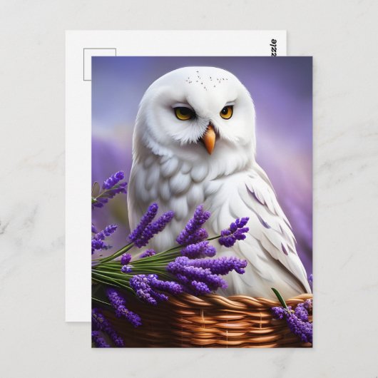 Weiße Eule in Lavendel, Postüberquerung Postkarte (Vorne/Hinten)