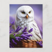 Weiße Eule in Lavendel, Postüberquerung Postkarte (Vorderseite)
