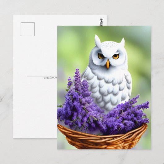 Weiße Eule in Lavendel, Postüberquerung Postkarte (Vorne/Hinten)