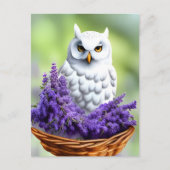 Weiße Eule in Lavendel, Postüberquerung Postkarte (Vorderseite)