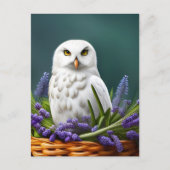 Weiße Eule in Lavendel, Postüberquerung Postkarte (Vorderseite)
