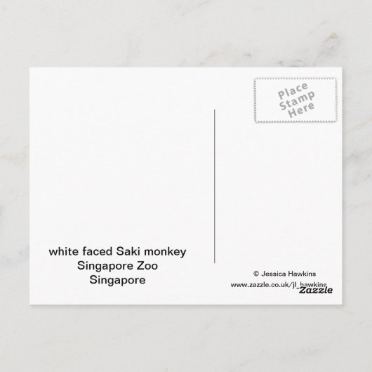 Weiße Faced Saki Monkey Postkarte (Rückseite)