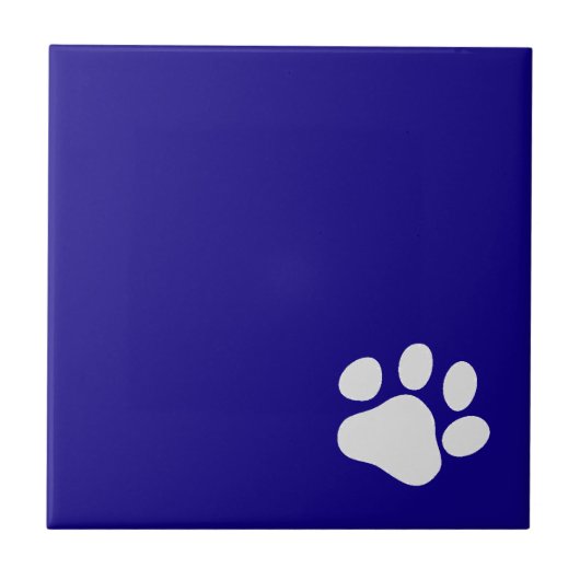 Weiße Farbe auf blau Fliese (Vorderseite)