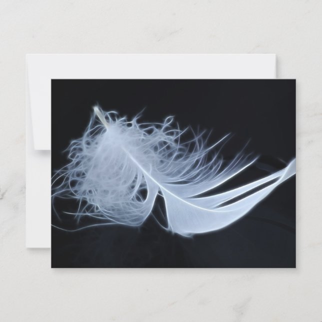 Weiße Feder - Engel von Natur (Vorderseite)