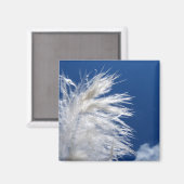 Weiße Feder hellblauer Himmel einfaches Motiv Must Magnet (Vorderseite/Rückseite)