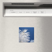 Weiße Feder hellblauer Himmel einfaches Motiv Must Magnet (In Situ (Geschirrspüler))