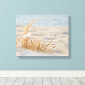 Weiße Feder im Strandrasen Leinwanddruck (Insitu (Holzboden))