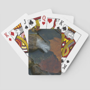 Weiße Feder Spielkarten