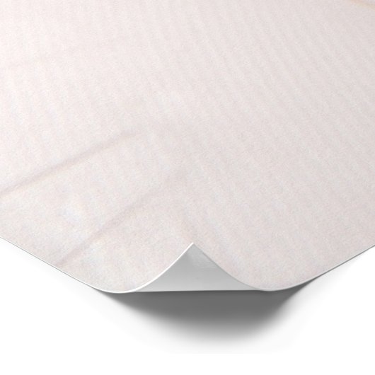 Weiße Federn Poster (Ecke)