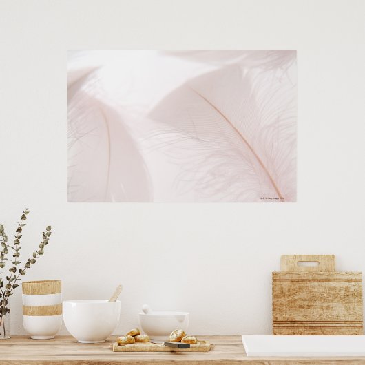 Weiße Federn Poster (Küche)