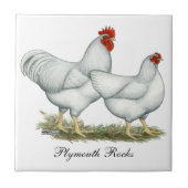 Weiße Felsen-Hühner Fliese (Vorderseite)