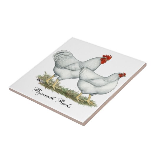 Weiße Felsen-Hühner Fliese (Seite)