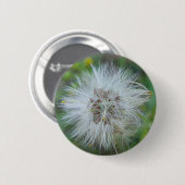 Weiße Flaute Button (Vorne & Hinten)