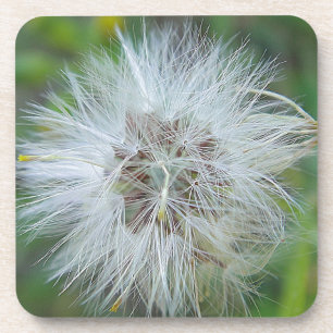 Weiße Flaute Untersetzer