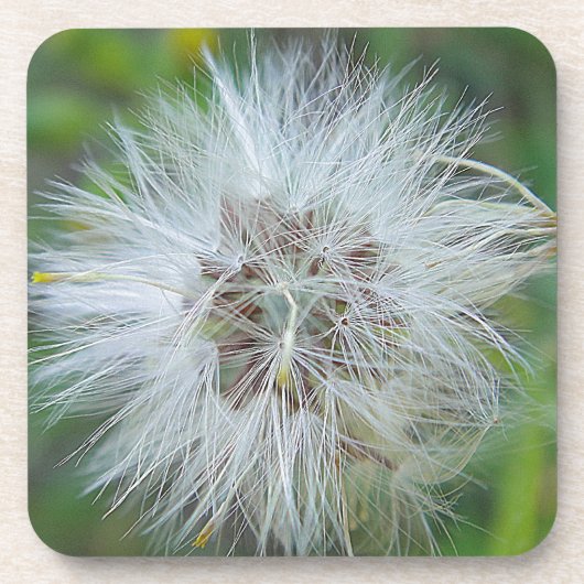 Weiße Flaute Untersetzer (Vorderseite)