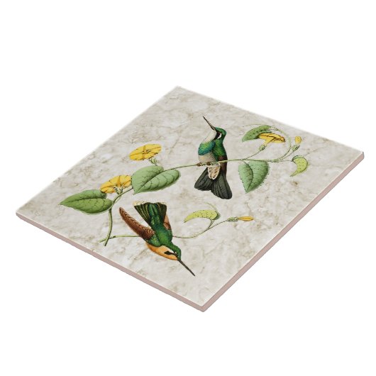 Weiße Fliese (Seite)