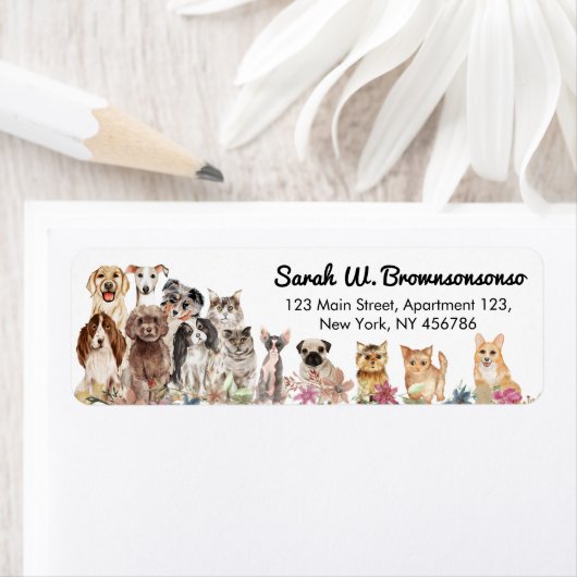 Weiße Flora Katzen und Hunde (Insitu)