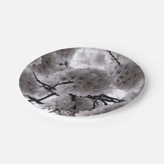 Weiße Flora Pappteller (Schrägansicht)