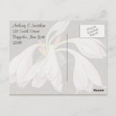 Weiße Florale Danke Postkarte (Rückseite)