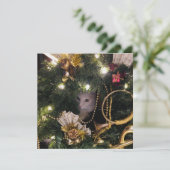 Weiße Fluffy-Katze im Weihnachtskranz Feiertagskarte (Stehend Vorderseite)