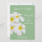 Weiße Frangipani-Blume, auf Sendung, Rett Datum Einladung (Vorderseite)