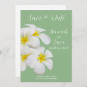 Weiße Frangipani-Blume, auf Sendung, Rett Datum Einladung (Vorne/Hinten)