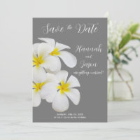 Weiße Frangipani-Blume, mittelgrau, Rett