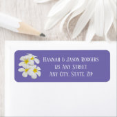 Weiße Frangipani-Blume, Periwinkle, Hochzeit (Insitu)