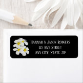 Weiße Frangipani-Blume, tropische Hochzeiten, blum (Insitu)