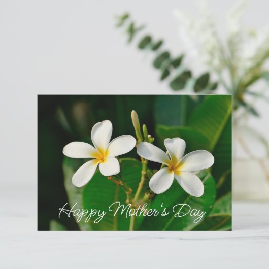 Weiße Frangipani-Karte (Stehend Vorderseite)