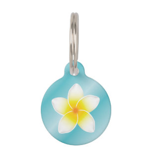 Weiße Frangipani-Plumeria-Blume mit Hundepunkten Tiermarke