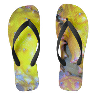 Weiße Fruchtflacker Badesandalen