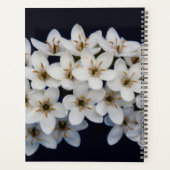 Weiße Frühlingsblumen 2024 Planer (Rückseite)