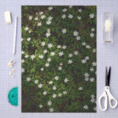 Weiße Frühlingsblumen im Wald Seidenpapier (Handwerk)