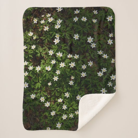 Weiße Frühlingsblumen im Wald Sherpadecke (Vorderseite)