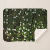 Weiße Frühlingsblumen im Wald Sherpadecke (Vorderseite (Horizontal))