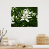 weiße Frühlingsblumen Poster (Küche)