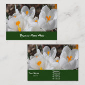 weiße Frühlingsblumen Visitenkarte (Vorne/Hinten)