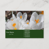 weiße Frühlingsblumen Visitenkarte (Rückseite)