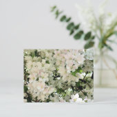 Weiße Frühlingsblüten Blumenfotografie Postkarte (Stehend Vorderseite)
