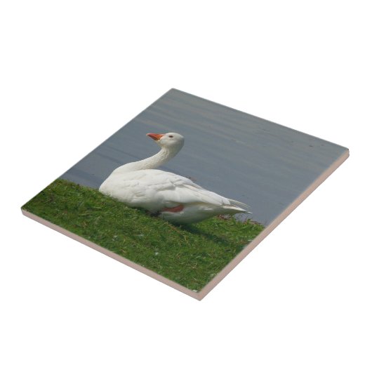 Weiße Gans Fliese (Seite)