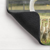 Weiße Gans mit Gössen und Pferd Mousepad (Ecke)