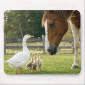 Weiße Gans mit Gössen und Pferd Mousepad (Vorne)