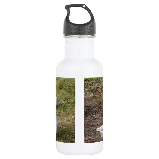 Weiße Gänse Edelstahlflasche (Rückseite)